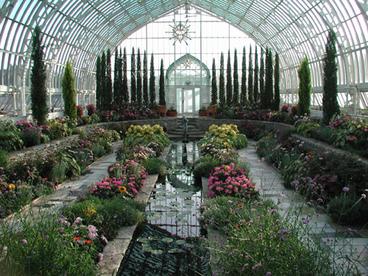 water feature inside greenhouse