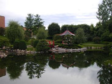 pond with building in the background 