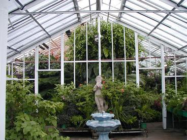 fountain inside the greenhouse
