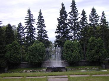 outside fountain with large pines in the background