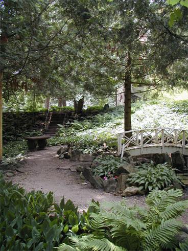 garden plants and small bridge