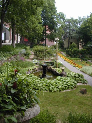 garden plants and paved path