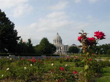 Roses in the foreground with the capital in the background