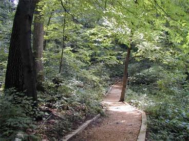 path through wooded area