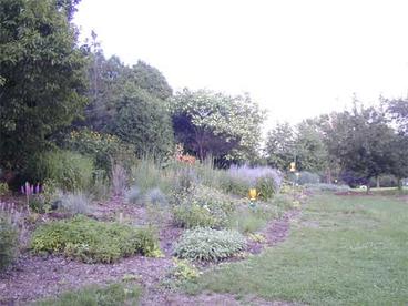 garden beds with trees in the background
