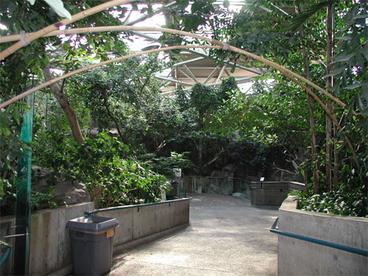 path through the tropics room 