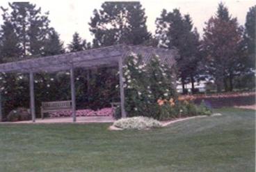 lawn with arbor in background