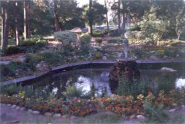 Pond with garden plants surrounding