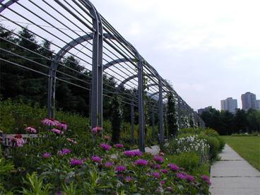 garden beds with Minneapolis skyline in the background